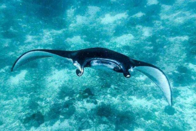 Bali & Komodo Islands Exclusive Adventure – 7 Days, 6 Nights