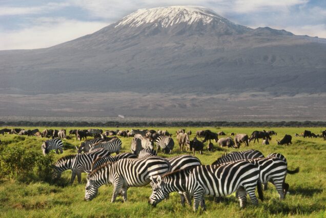 Amboseli Safari Package at Hunters Manor Luxury Lodge