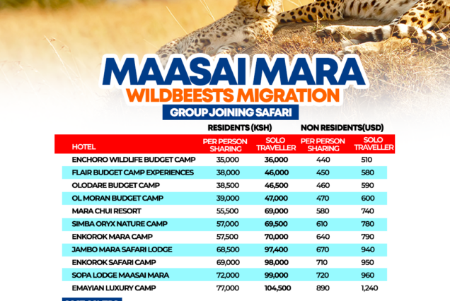 Maasai Mara Wildebeest Migration Safari 2026