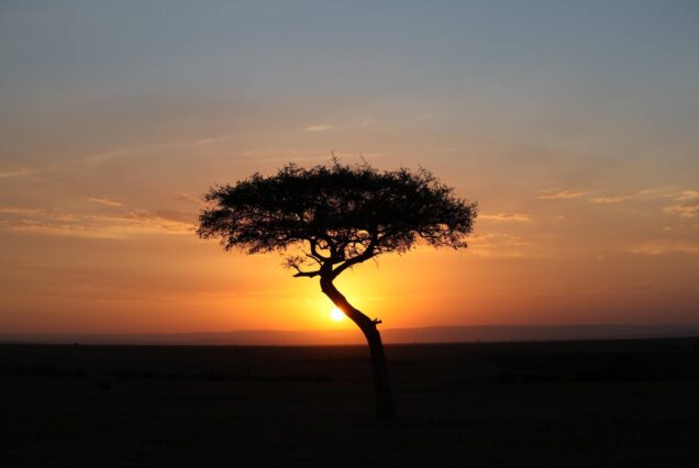 Classic Kenya Safari Package in Amboseli Lake Naivasha and Masai Mara