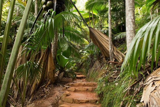 Seychelles Holiday Package at Praslin and Mahé Islands