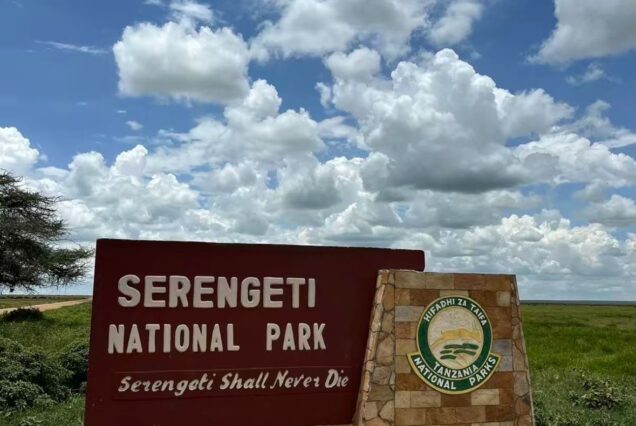 Tanzania Safari Package at Serengeti National Park and Ngorongoro Crater