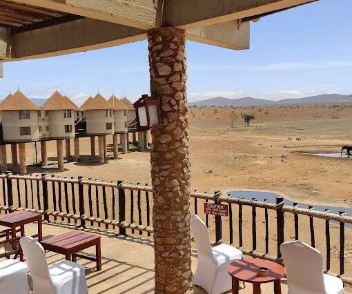 Salt Lick Safari Package at Salt Lick Safari Lodge in Taita Hills Wildlife Sanctuary