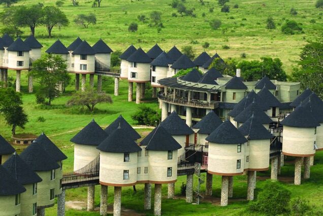 Salt Lick Safari Package at Salt Lick Safari Lodge in Taita Hills Wildlife Sanctuary