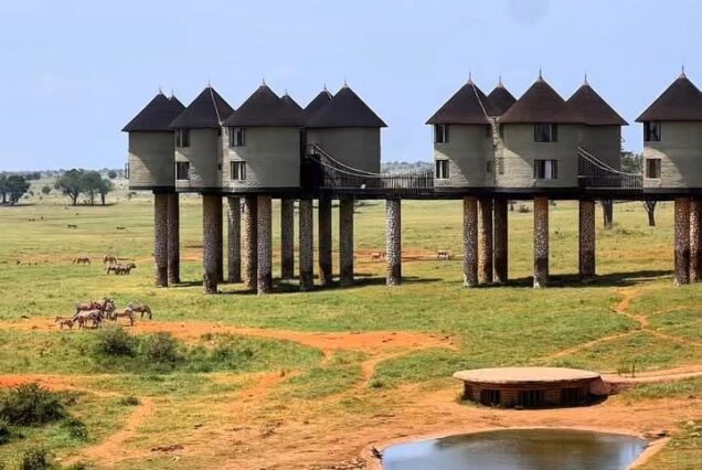 Salt Lick Safari Package at Salt Lick Safari Lodge in Taita Hills Wildlife Sanctuary
