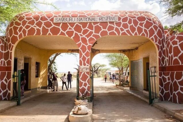 Samburu Safari Package at Samburu Simba Lodge in Samburu National Reserve
