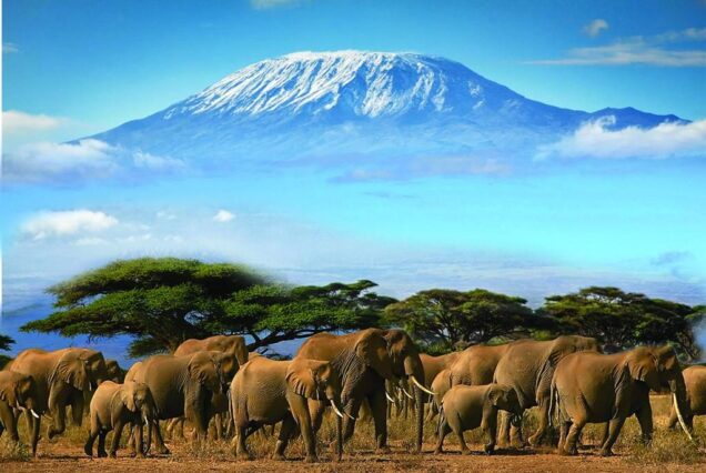 Amboseli Safari Package at Hunters Manor Luxury Lodge