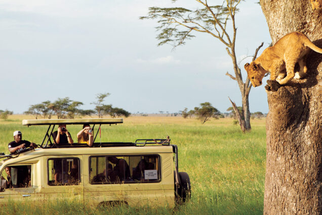 Tanzania Wildlife Safari Package at Tarangire National Park, Serengeti National Park & Ngorongoro Crater