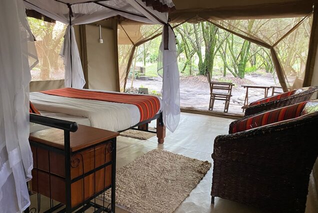 Enchoro Wildlife Budget Camp Maasai Mara Safari – 3-day wildlife adventure