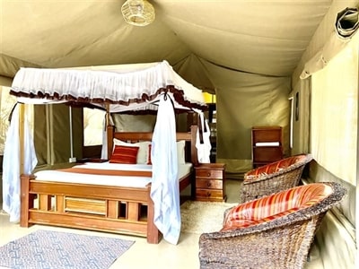 Enchoro Wildlife Budget Camp Maasai Mara Safari – 3-day wildlife adventure