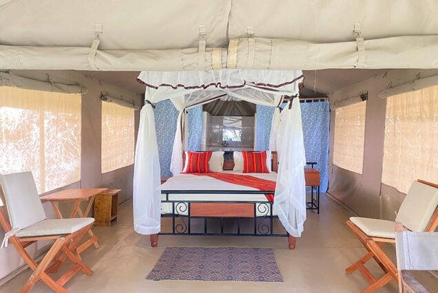 Enchoro Wildlife Budget Camp Maasai Mara Safari – 3-day wildlife adventure