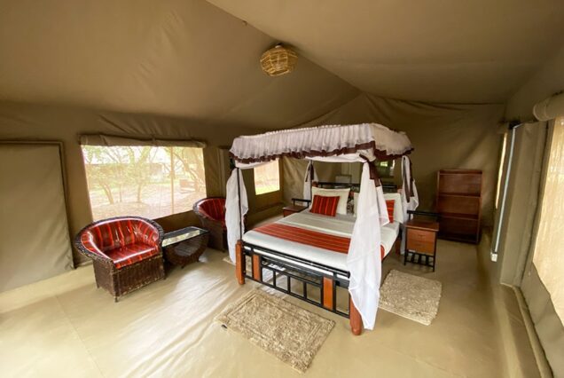 Enchoro Wildlife Budget Camp Maasai Mara Safari – 3-day wildlife adventure