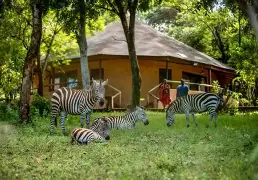 Sopa Lodge Maasai Mara – Unforgettable 3-Day Wildebeest Migration Safari