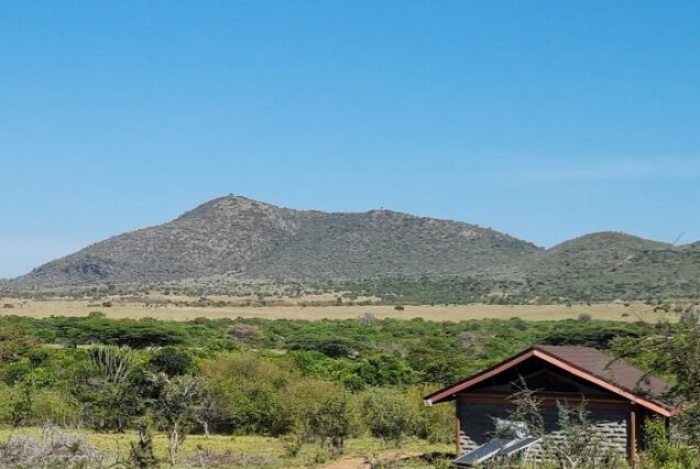 Simba Oryx Nature Camp Safari Package 2026