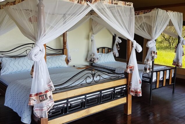 Simba Oryx Nature Camp Safari Package 2026